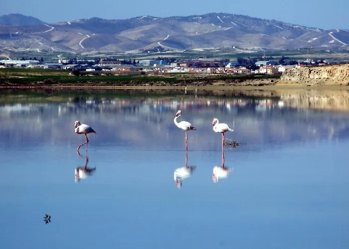Blue Bay House Holiday home *